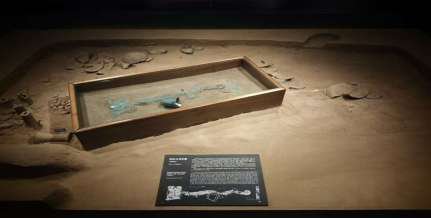 摄影 陈薪元绿松石龙形器