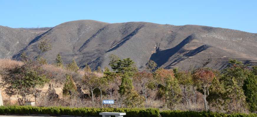 周原一隅
摄影:乔仁卯